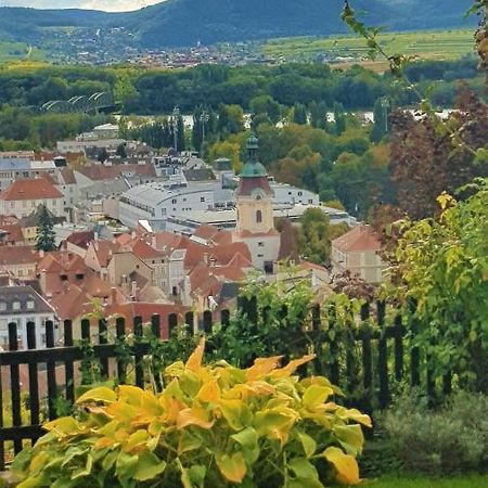 Blick Ueber Krems Mit Gartenpavillon Экстерьер фото