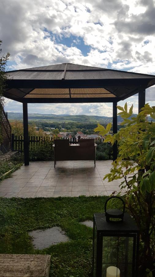 Blick Ueber Krems Mit Gartenpavillon Экстерьер фото