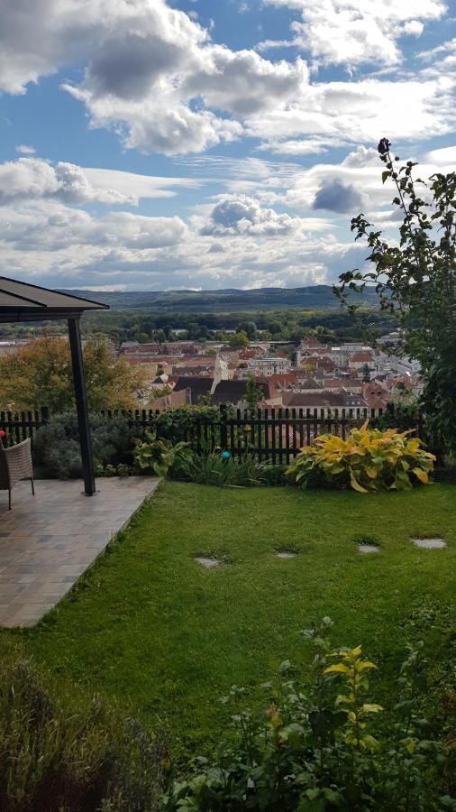 Blick Ueber Krems Mit Gartenpavillon Экстерьер фото