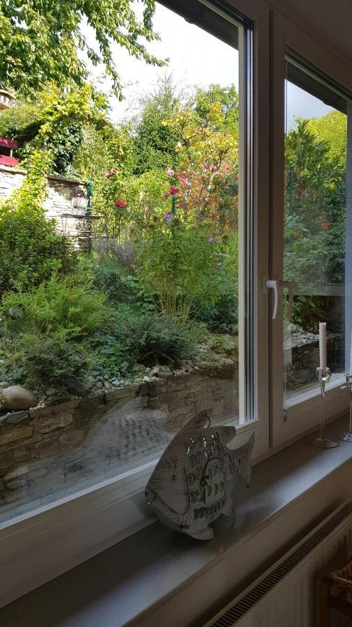 Blick Ueber Krems Mit Gartenpavillon Экстерьер фото