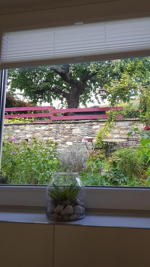 Blick Ueber Krems Mit Gartenpavillon Экстерьер фото